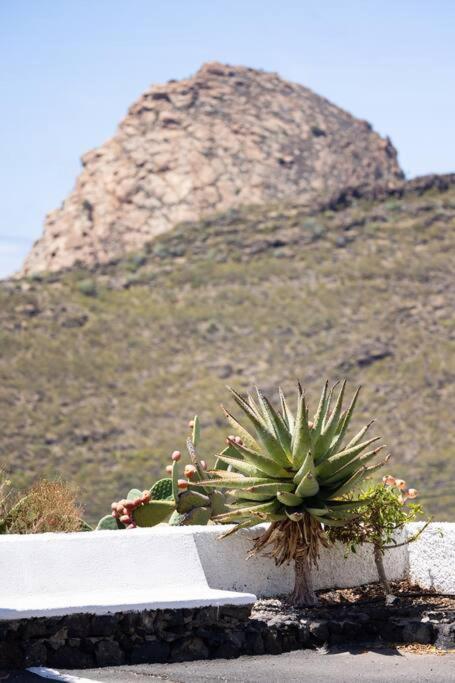 El Retamar, Naturaleza Y Paisajes Santiago Del Teide Luaran gambar